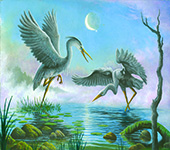 Courting Herons